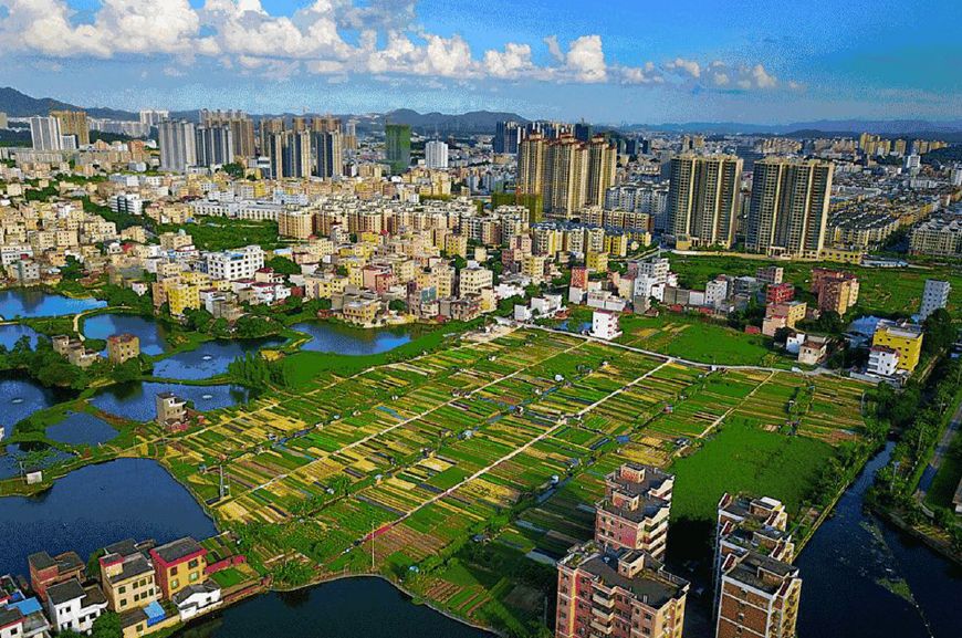 鹤山天气预报20天查询