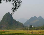 和平天气预报20天查询