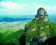 龙川天气预报20天查询