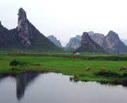 清远天气预报20天查询