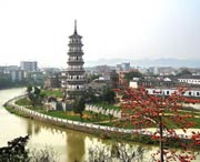 罗定天气预报20天查询