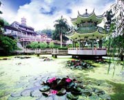 新兴天气预报20天查询