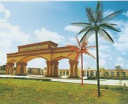 阳江天气预报20天查询