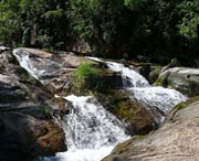 电白天气预报20天查询