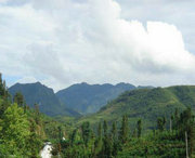 屏边天气预报20天查询