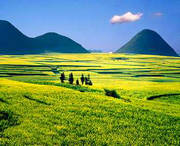 罗平天气预报20天查询