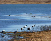会泽天气预报20天查询
