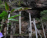 西盟天气预报20天查询
