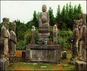 威信天气预报20天查询