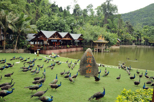 西双版纳天气预报20天查询