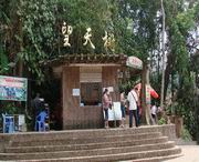 勐腊天气预报20天查询