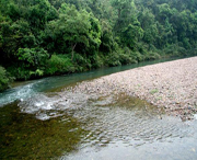 鹿寨天气预报20天查询