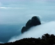 金秀天气预报20天查询