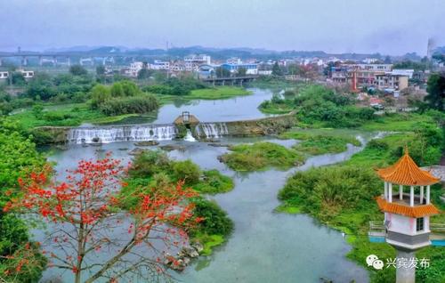 兴宾天气预报20天查询
