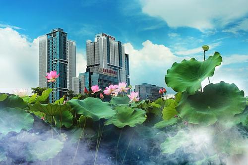 港北天气预报20天查询