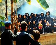 那坡天气预报20天查询