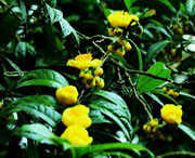 防城天气预报20天查询