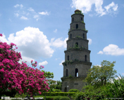 定安天气预报20天查询