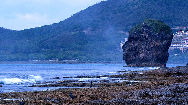 屏东天气预报20天查询