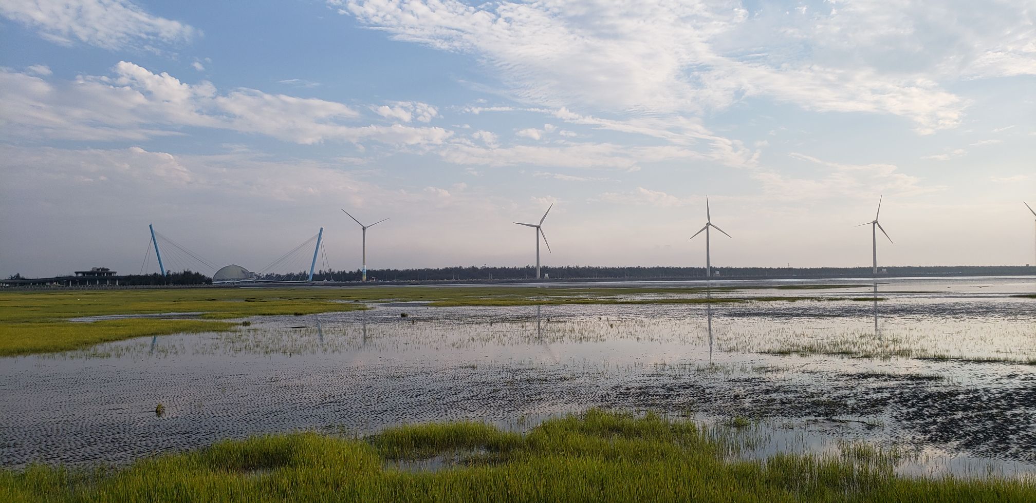 台中天气预报20天查询