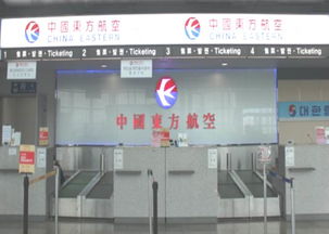 务安国际机场