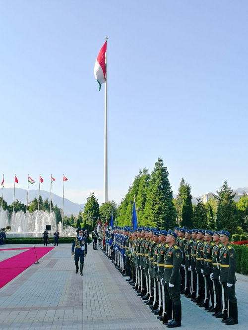杜尚别