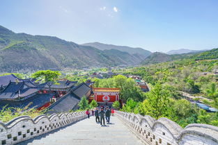 龙基代莱焦纳里