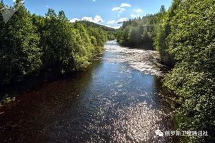 梅德韦日耶戈尔斯克