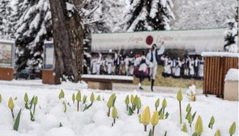 米耶尔库雷亚丘克