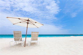 普罗维登西亚莱斯