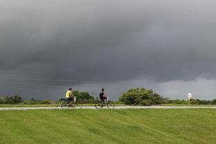 比那尔德里奥省