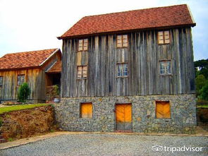 本图贡萨尔维斯