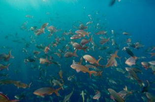 圣克里斯托巴尔岛