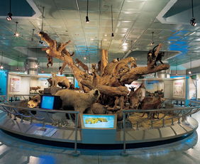 大连自然博物馆