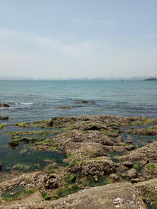 刘公岛风景名胜区