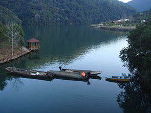 天台国家森林公园水上茶乡九鹏溪