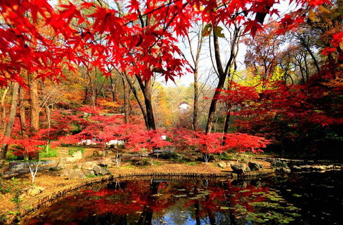 栖霞山风景名胜区