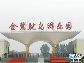金鹭鸵鸟游乐园