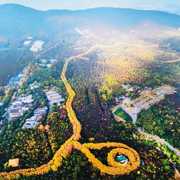 钟山风景名胜区