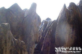 宜昌市宜都奥陶纪石林