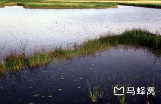 鸣翠湖国家湿地公园