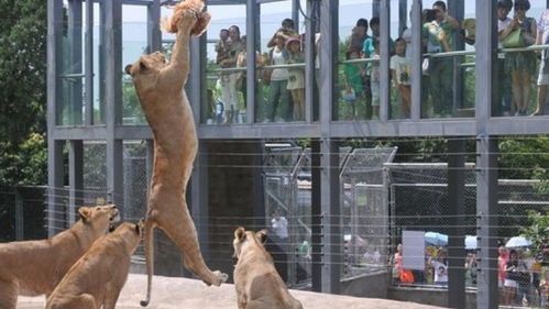 西安秦岭野生动物园