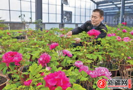 乌鲁木齐市植物园