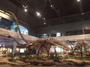 恐龙博物馆