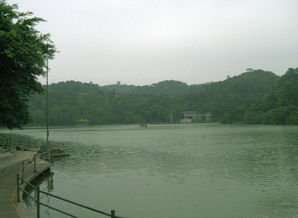 西樵山国家森林公园