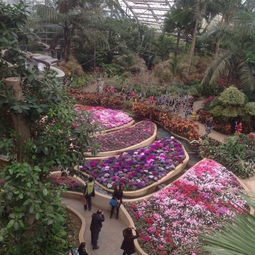 重庆南山植物园