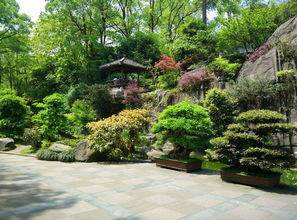 重庆市南山植物园