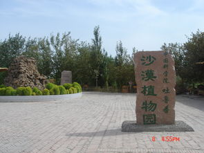 沙漠植物风情园