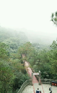 歌乐山森林公园