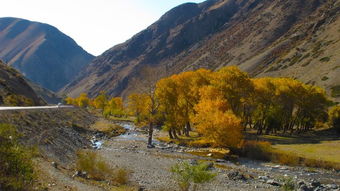 哈密天山国家森林公园寒气沟景区